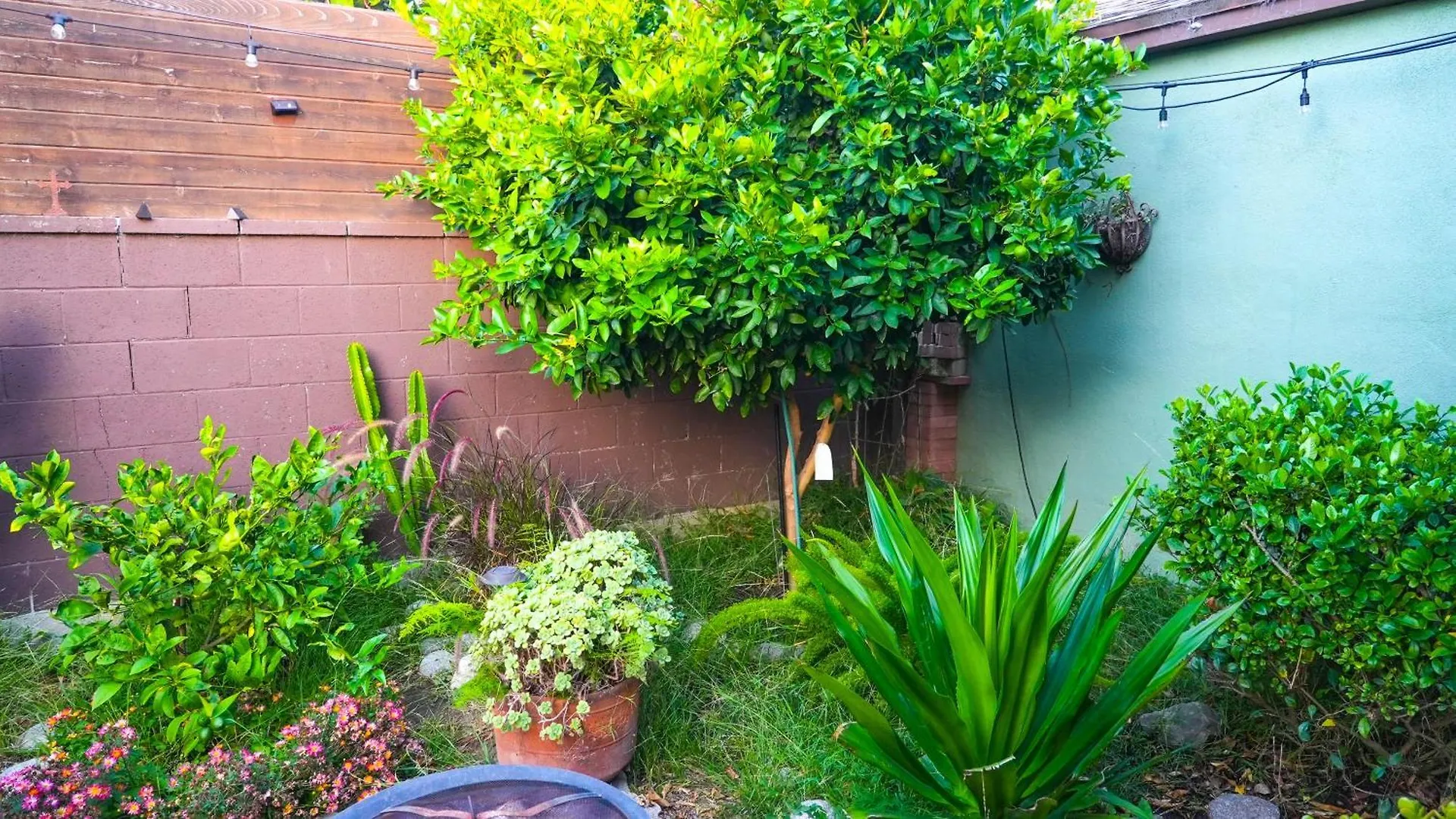 Cozy Private Guest House Los Angeles